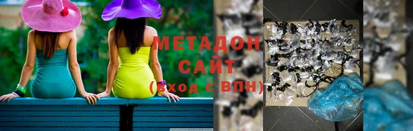 стаф Алзамай