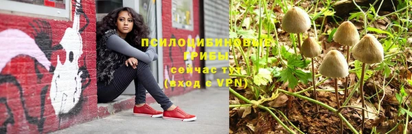 стаф Алзамай