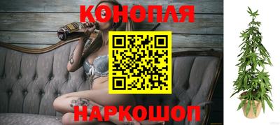 трава Кинель