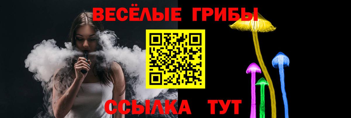 Галлюциногенные грибы GOLDEN TEACHER  Вход с VPN  Краснознаменск 